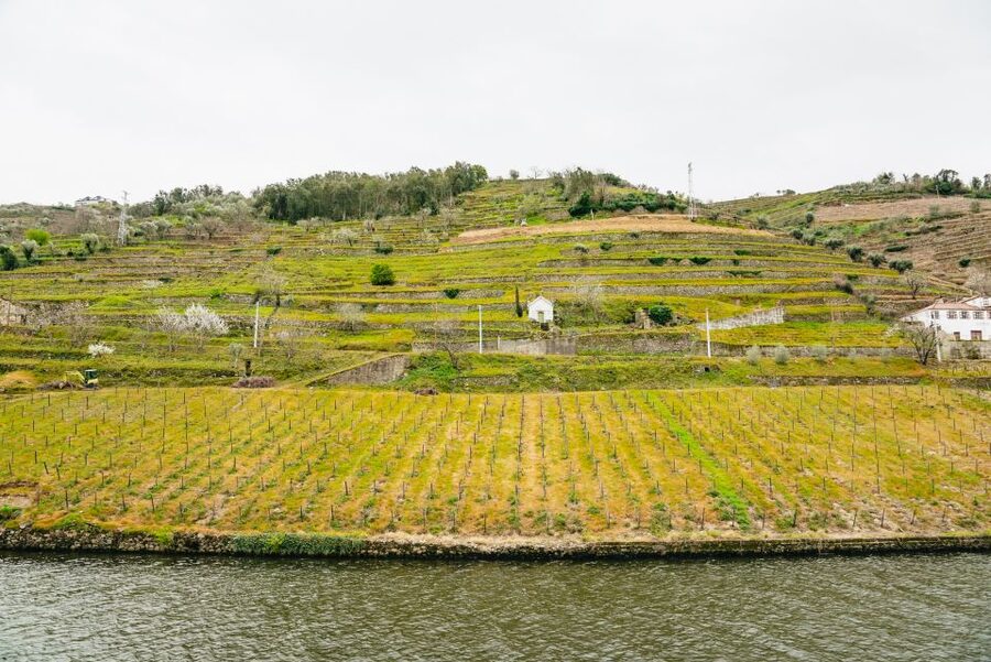 Porto - Régua - Porto Upstream Douro Cruise & Tour - Audio commentary in four languages