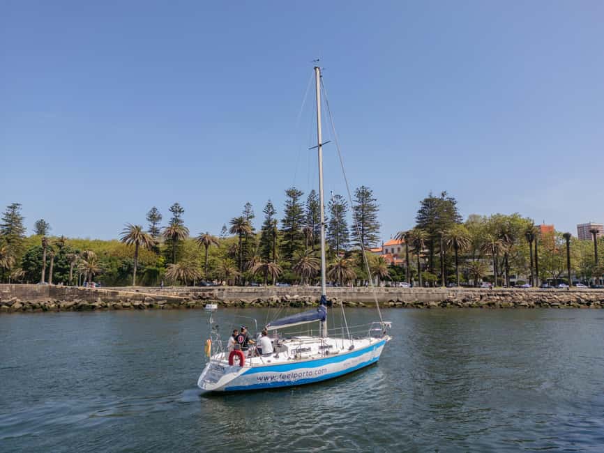 Porto: Shared Douro River Sunset Cruise with Welcome Drink - Alfandega, Porto, and the approach to the center