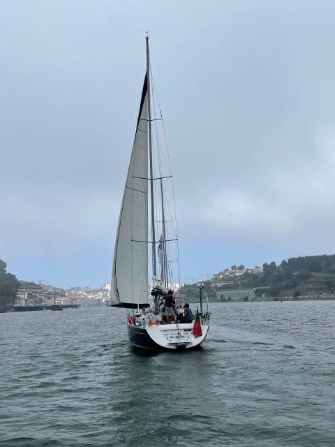 Porto: The Best Douro Boat Tour - From Arrábida Bridge toward central Porto