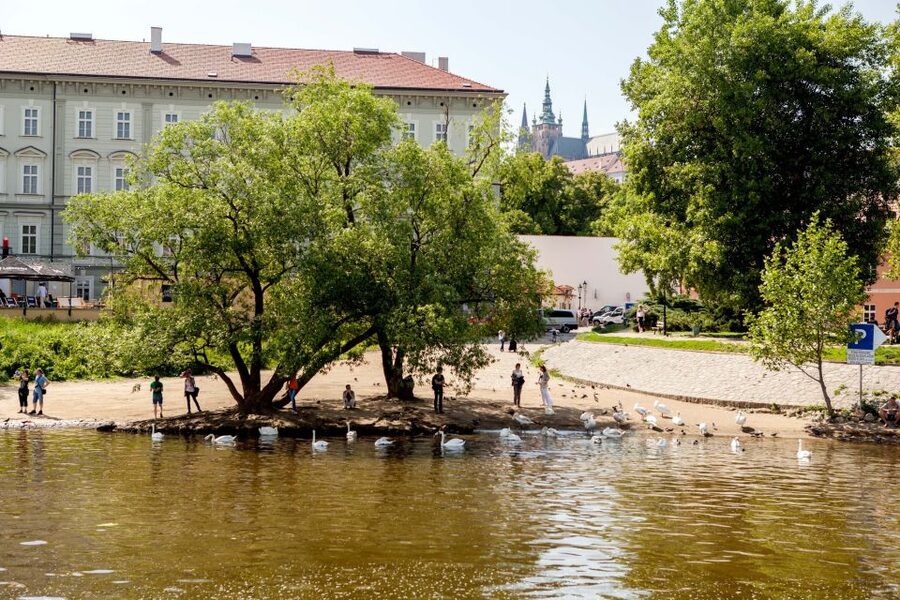 Prague Cruise: 1-Hour on the River Vltava - Audio commentary instead of a live guide