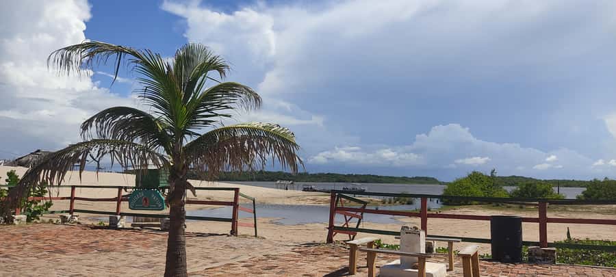 Preguicas River Speedboat Tour - The guide, language, and pace