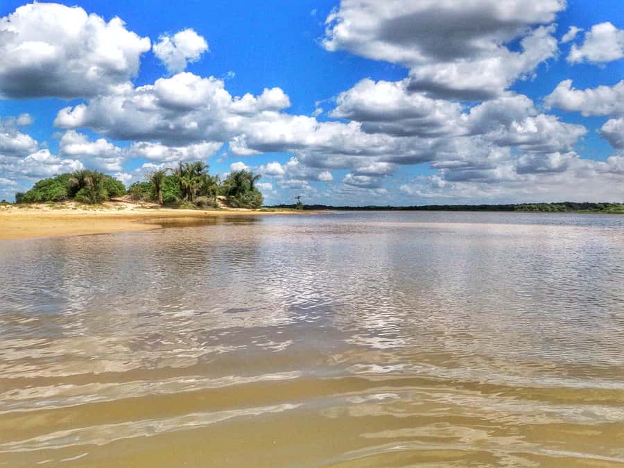 Preguicas River Speedboat Tour - Vassouras and the monkey problem