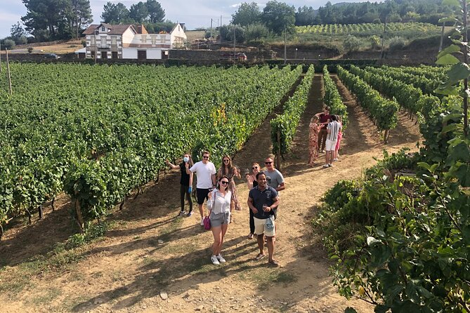 Premium Douro Valley Small-Group Tour, Wine Tasting, Lunch & Boat - Why this day works so well from Porto