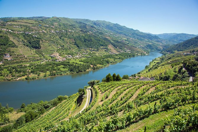 Premium Douro Valley Small-Group Tour, Wine Tasting, Lunch & Boat - Guides, group size, and the human side of the day