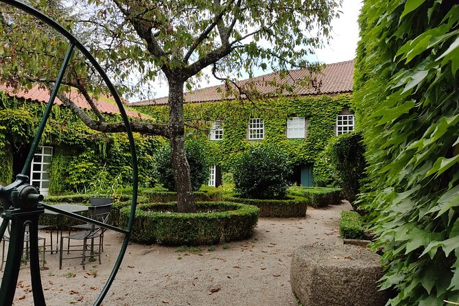 Premium Douro Valley Small-Group Tour, Wine Tasting, Lunch & Boat - Is $181.39 good value?