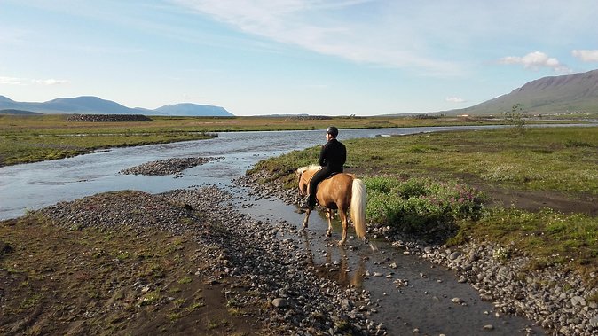 Private 3-Hour Horseback Riding Tour - A Three-Hour Ride Through Rural Iceland