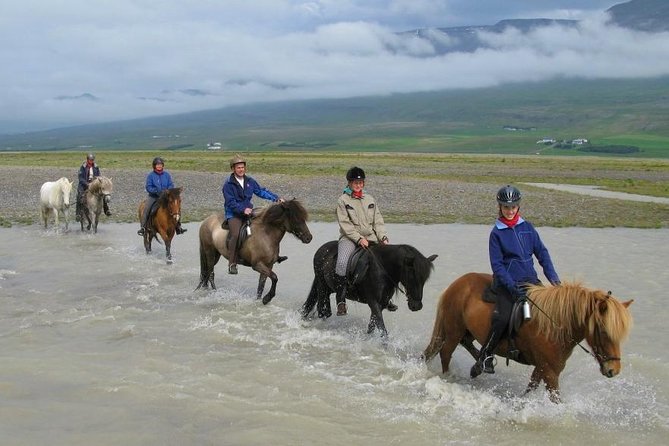 Private 3-Hour Horseback Riding Tour - Waterfalls, Hot Springs, and Glacier-Fed Rivers
