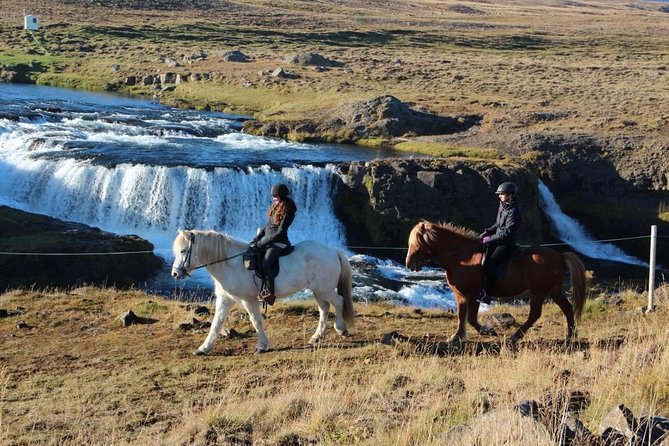 Private 3-Hour Horseback Riding Tour - What the $230.45 Price Buys You