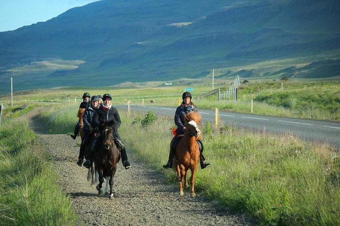 Private 3-Hour Horseback Riding Tour - Who Should Book This Ride