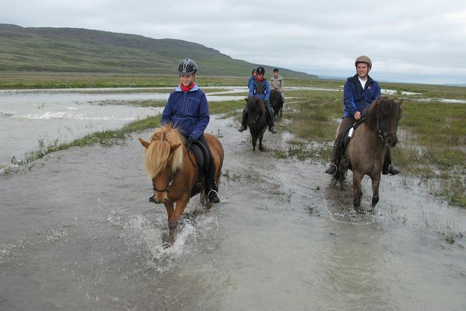 Private 3-Hour Horseback Riding Tour - Final Call on the Hestasport Horseback Tour