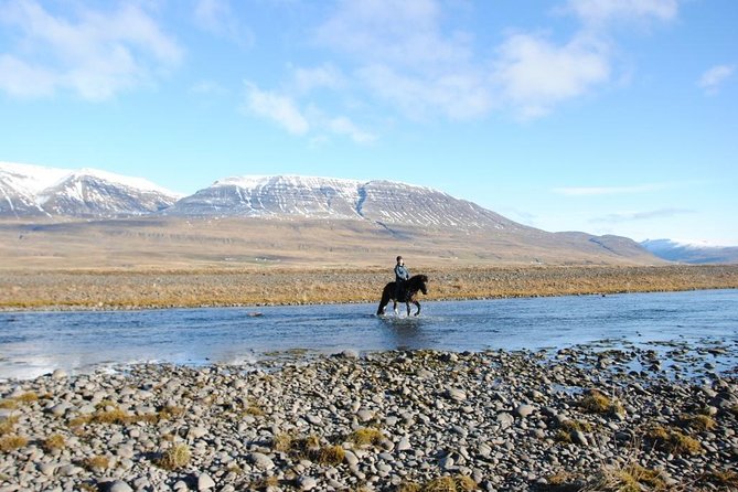 Private 3-Hour Horseback Riding Tour - The Icelandic Tölt and Faster Riding