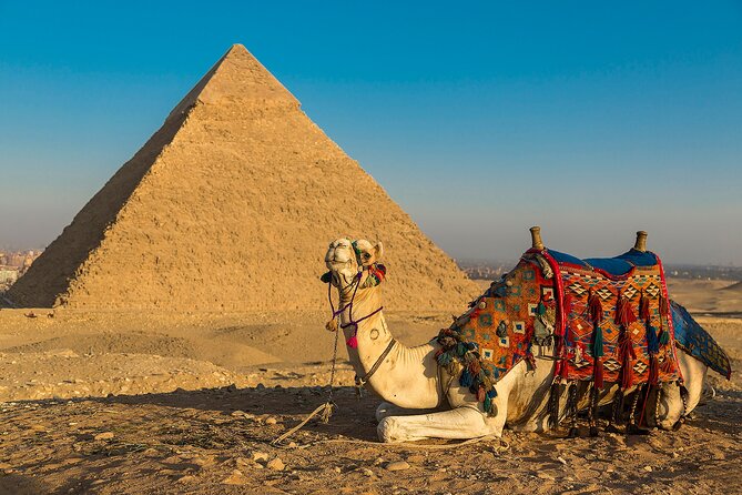 Private Cairo Aswan Luxor 8 days 7 nights with Nile Cruise - Cairo’s Citadel, Coptic quarter, and Khan Al-Khalili