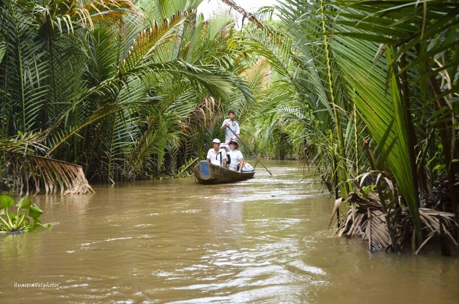 Private Cu Chi Tunnels & Mekong Delta: Full-Day Guided Tour - What the private format is worth at $169