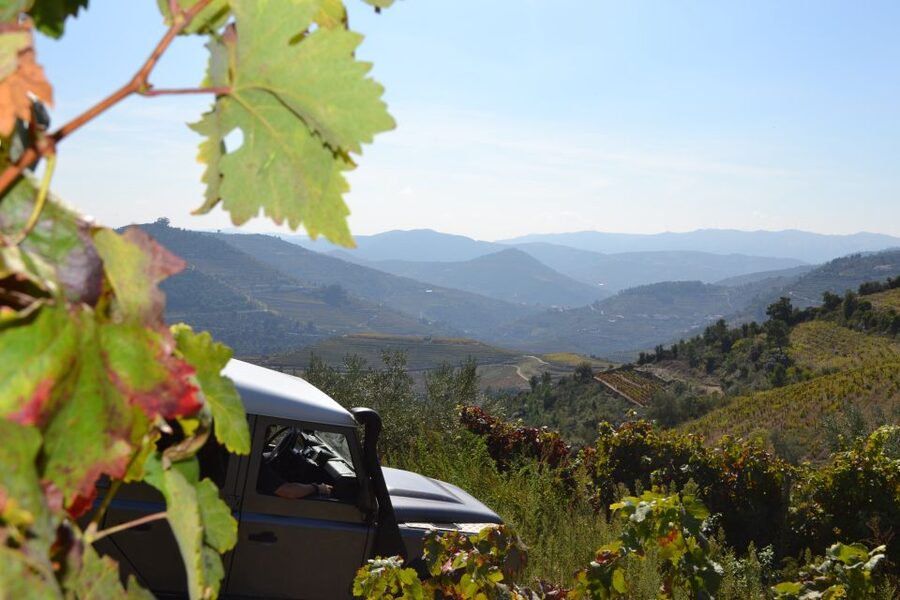 Private Douro Valley 4WD Tour with Wine Tasting and Picnic - Key points to know before booking
