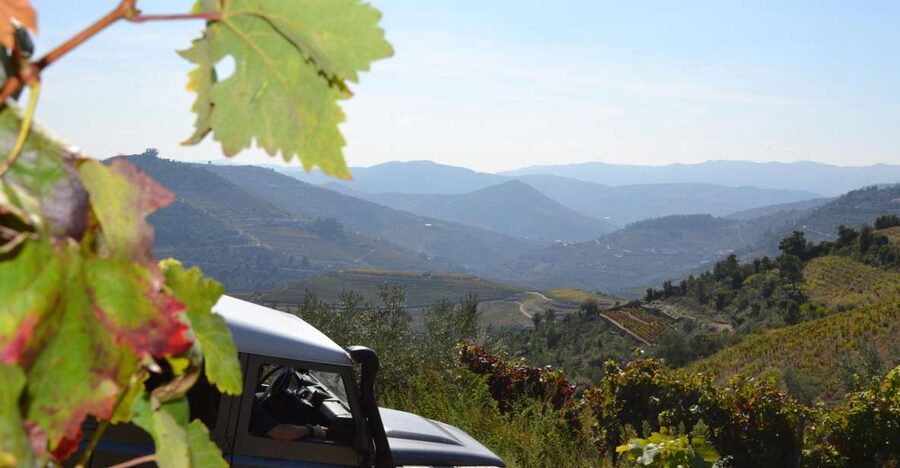 Private Douro Valley 4WD Tour with Wine Tasting and Picnic - Régua, the Douro’s working center
