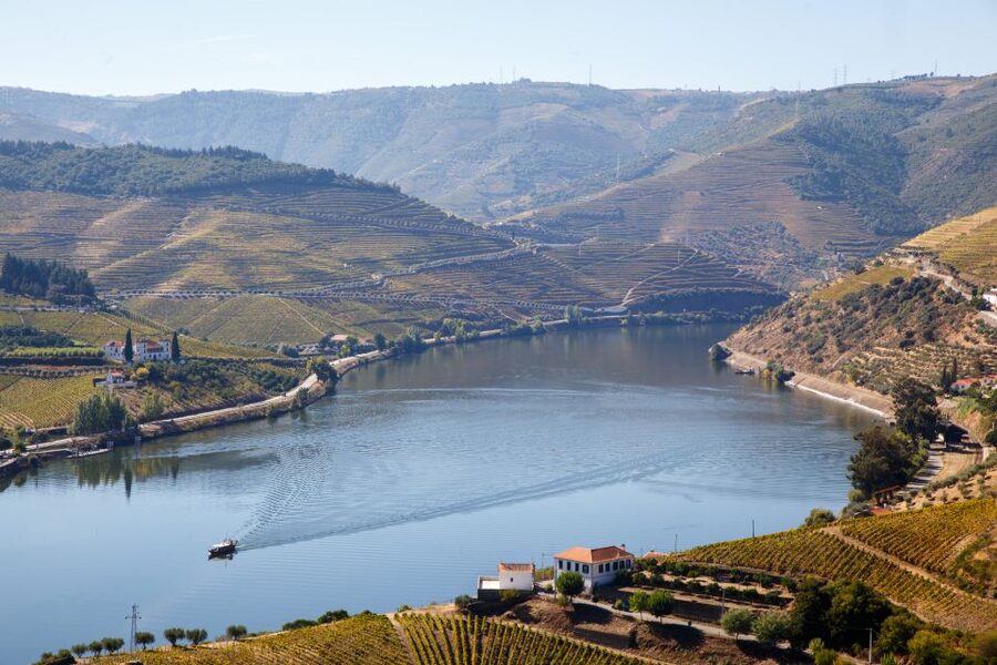Private Douro Valley 4WD Tour with Wine Tasting and Picnic - A picnic at São Leonardo de Galafura