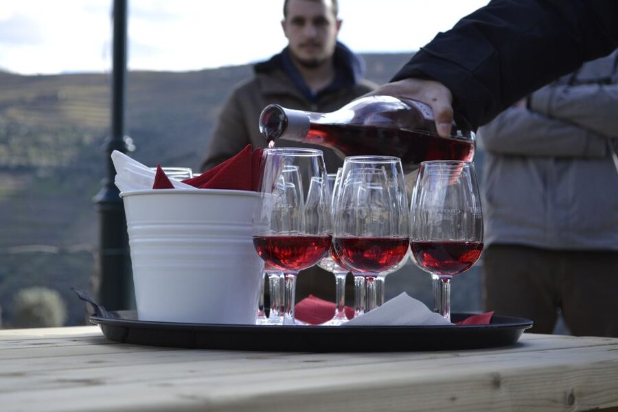 Private Douro Valley 4WD Tour with Wine Tasting and Picnic - Guides and the private format