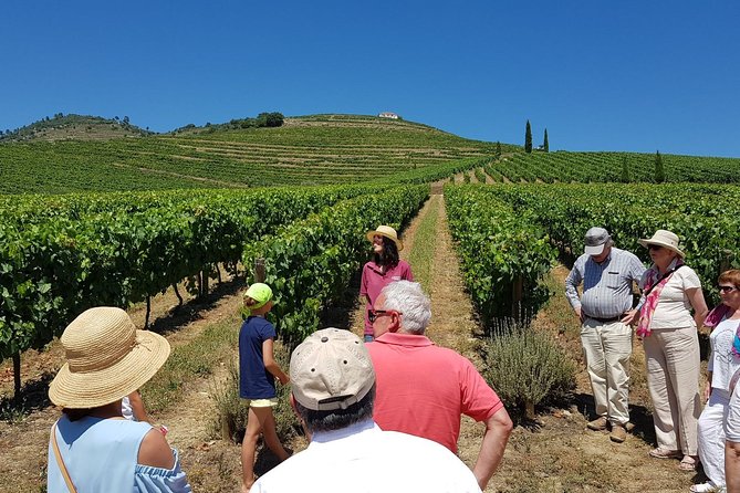 Private Douro Valley Wine Tour: 2 Wine Estates, Lunch and Cruise - Key points at a glance