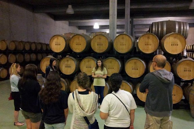 Private Douro Valley Wine Tour: 2 Wine Estates, Lunch and Cruise - Why this Douro day works so well