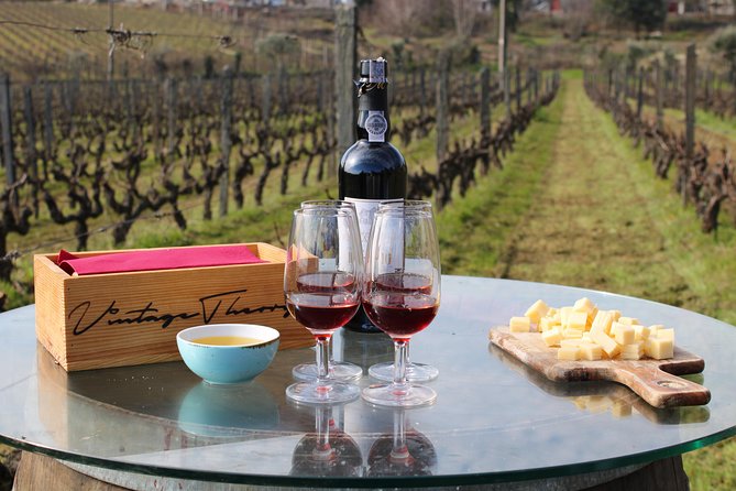 Private Douro Valley Wine Tour: 2 Wine Estates, Lunch and Cruise - The second estate and final tasting