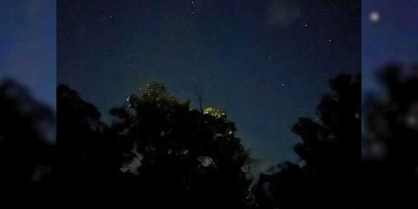Private Firefly Watching Night Cruise on Bohol Abatan River - Tips for making the short cruise worthwhile