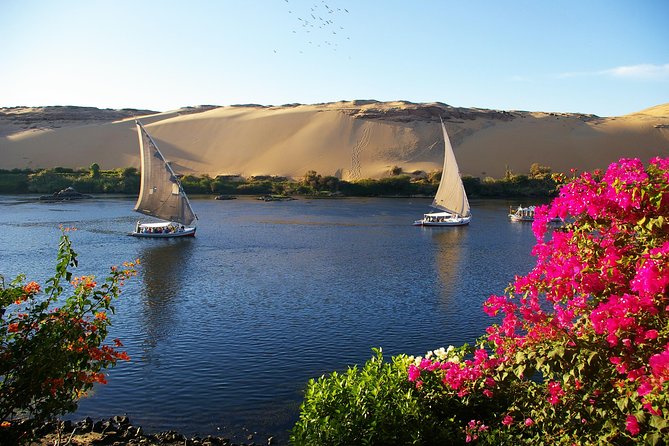Private Tour: 10 Days Pyramids ,Nile Cruise & Hurghada by Air from Cairo - Day 3: Flying to Aswan and visiting Philae
