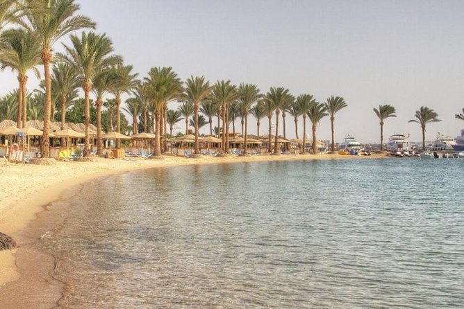 Private Tour: 10 Days Pyramids ,Nile Cruise & Hurghada by Air from Cairo - Day 8: A genuine pause in Hurghada