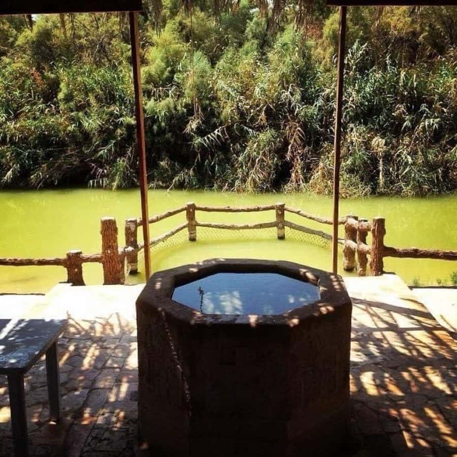 Private Tour: Baptism site ( Jordan River ) From Amman - Reaching the Jordan River