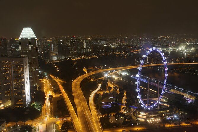 Private Tour: Nighttime Sightseeing with River Cruise - The 7:45pm Gardens by the Bay light show