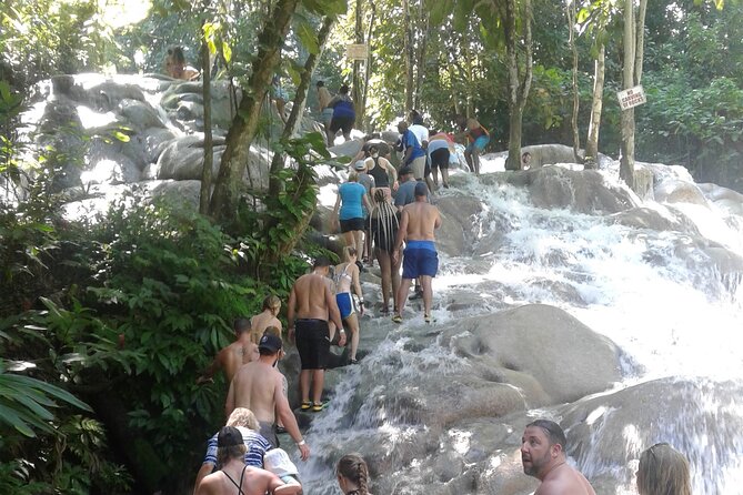 Private Transfer to Dunns River Blue Hole Tubing from Montego Bay - Three Jamaican water stops from one private ride