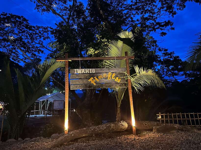 Puerto Princesa: Iwahig Firefly Watching & River Cruise - Why the mangrove setting matters