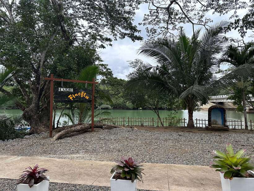 Puerto Princesa: Iwahig Firefly Watching & River Cruise - Booking and timing advice