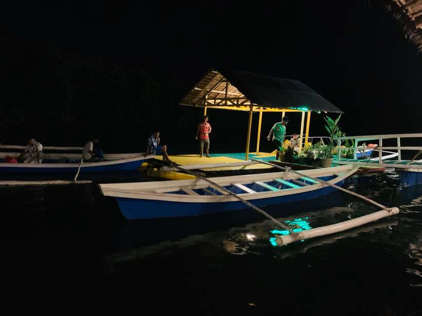 Puerto Princesa: Underground River and Firefly Watching Tour - Should you book this Puerto Princesa tour?