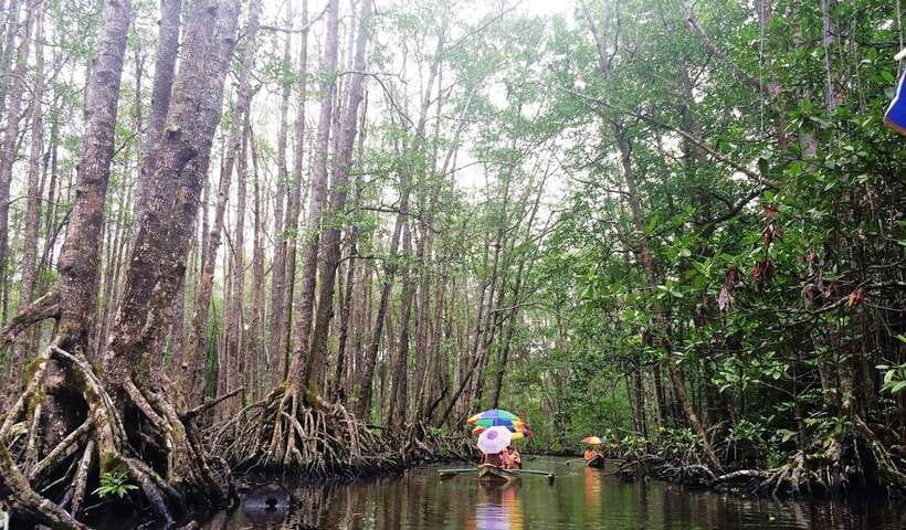 Puerto Princesa: Underground River, Zipline, Paddleboat Tour - Guides, group size, and the way the day is managed
