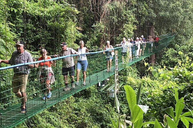Puntarenas Shore Excursion: Rainforest Skywalk & Tarcoles River - Wildlife: forest luck, river reliability