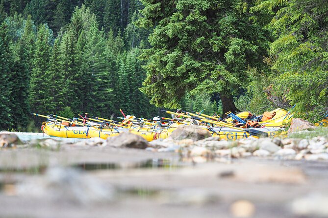 Rafting Adventure on the Kicking Horse River - Is $82.59 a good value?