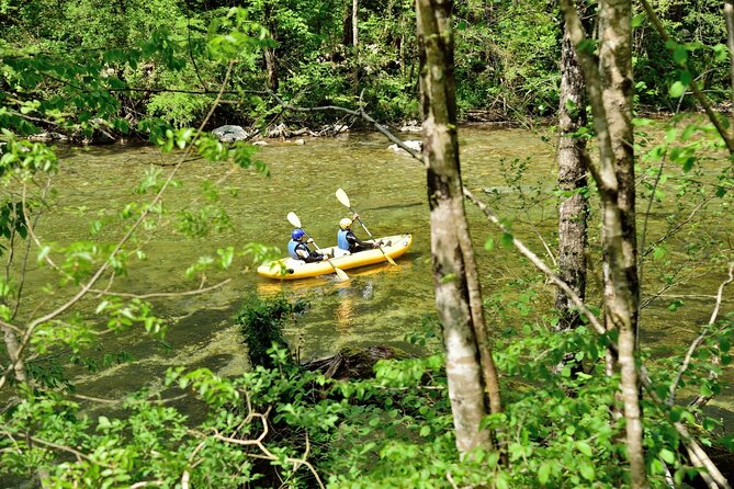 Rafting and Kayaking Adventure in River Kupa - Is the $60.21 price fair?