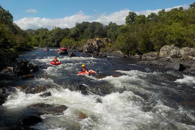 Rainforest River Tubing from Cairns - Should you book the Mulgrave River tubing trip?