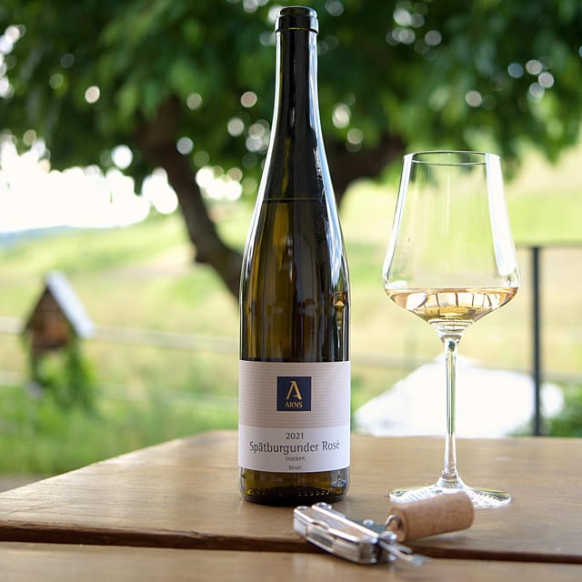 Reil, Mosel: Guided organic wine tasting and cellar tour - Should you book Weingut Arns?
