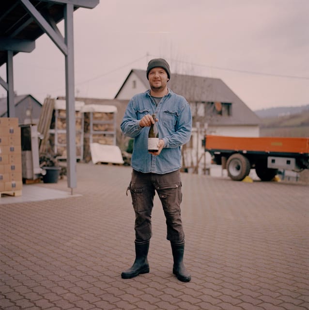 Reil, Mosel: Guided organic wine tasting and cellar tour - Starting at Kringstraße 36 in Reil