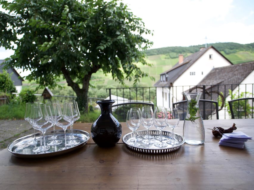 Reil, Mosel: Guided organic wine tasting and cellar tour - Why the family-run format matters