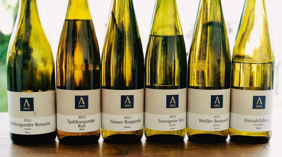 Reil, Mosel: Guided organic wine tasting and cellar tour - Walking the organic vineyard for one hour