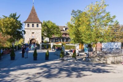 Rhine Falls and Stein am Rhein Half-Day Tour from Zurich