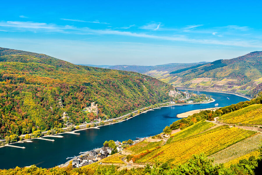 Rhine Valley Castles: 1.5-Hour Boat Tour from Rüdesheim - What this Rüdesheim boat trip really offers