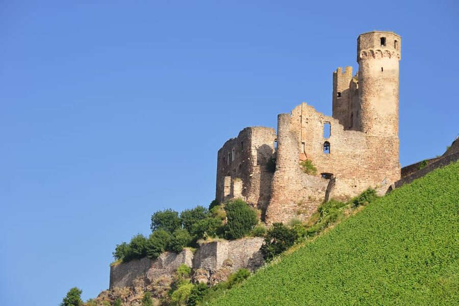 Rhine Valley Castles: 1.5-Hour Boat Tour from Rüdesheim - Is $19 a good value?
