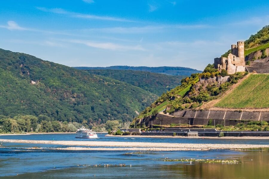 Rhine Valley Castles: 1.5-Hour Boat Tour from Rüdesheim - Who should book this Rhine cruise?