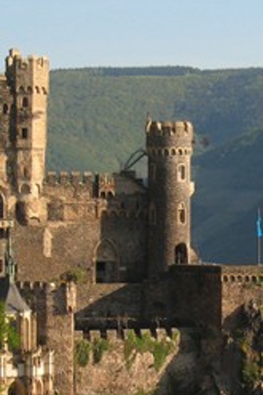 Rhine Valley Castles: 1.5-Hour Boat Tour from Rüdesheim - Vineyards, wine towns, and the romance of the river