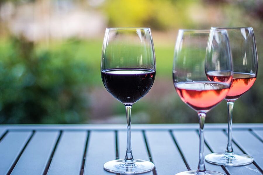 Rhine Valley: Half Day Tour from Frankfurt - Wine tasting with Roman roots