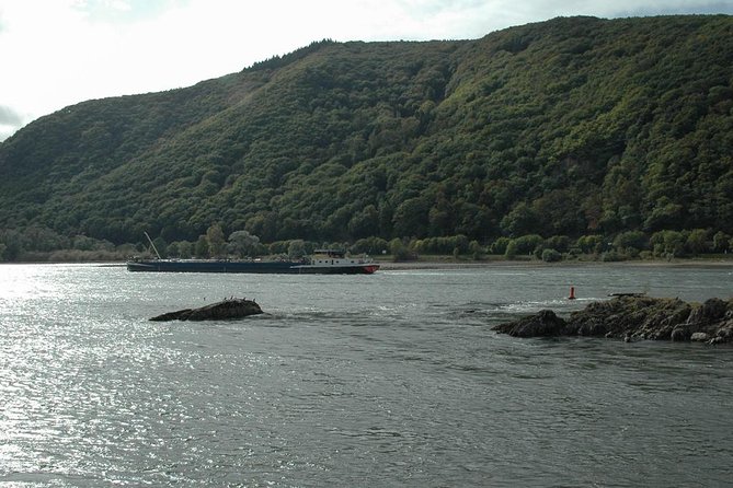 Rhine Valley Trip from Frankfurt including Rhine River Cruise - The Rhine steamer is the day’s main event