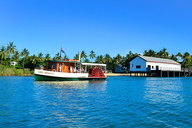 River Cruise - Why a wild crocodile matters here
